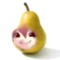 Cloosor