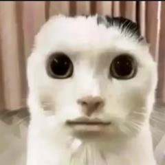 황주원