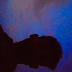 universal soul
