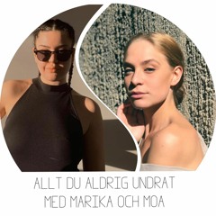 ALLT DU ALDRIG UNDRAT