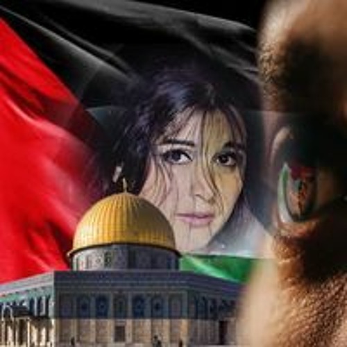 Fatma Salah’s avatar