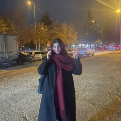 Lorin Akgün