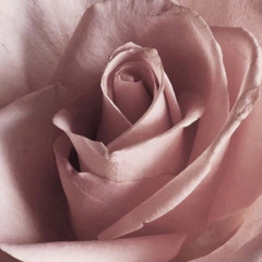 ♡