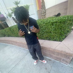 Hollywood KAMARION