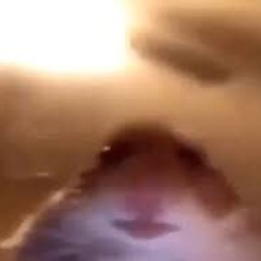 BigFiggle