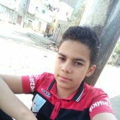 أحمد حربي