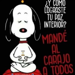 🌏 1GUAR🌎D1ĮANS1 🌍