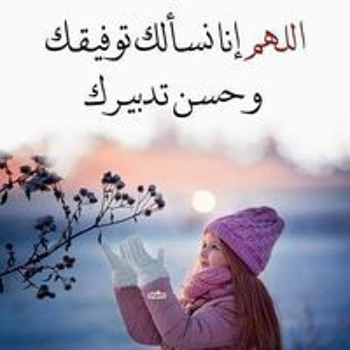محمد رشاد محمد رشاد’s avatar