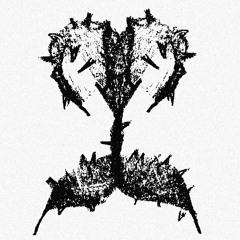 AortaUltras