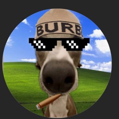 Mohammed