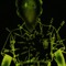 user100915541