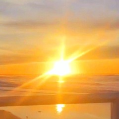 ୧⍤⃝🌻ֶָ֢♪