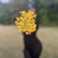 JayyMonee