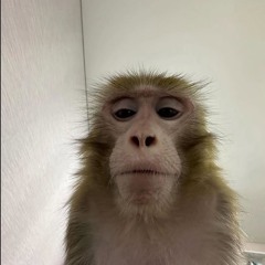 Uladzislau Melchanka