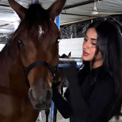 𝗯𝗮𝗿𝗮𝗮𝗵