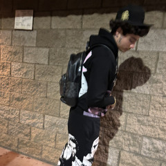 304BAGCHASER