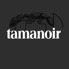 Tamanoir