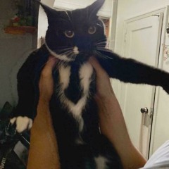 ก็็็็็็็็็