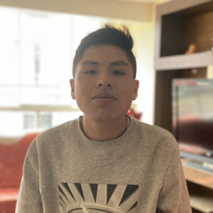 Sebastian Farfan Ochoa