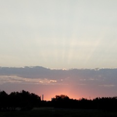 Matin