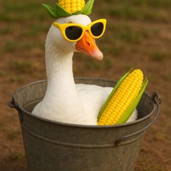 rico