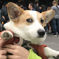 Phú Nghĩa