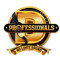 D' PROFESSIONALS