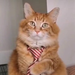 Огонёк