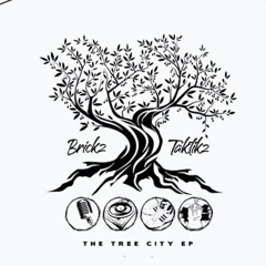 Taktikz
