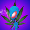 Jugoran19