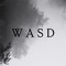 WASD