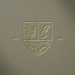 Protect Sundays Collective