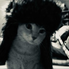 p0bratskii