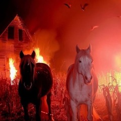 SPOOKY SEASON