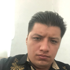 Leyden MP