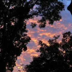 𝑆 𝐸 𝑅 𝐸 𝑃 𝐸 𝐼 𝑁 24