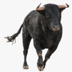 Running with the JRB