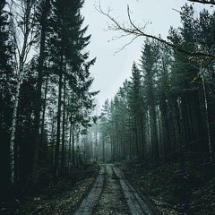 Kailash_Kher_-_Tauba_Tauba(128k).m4a