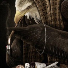 Dread Pirate Roberts