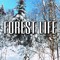 Forest Life Music