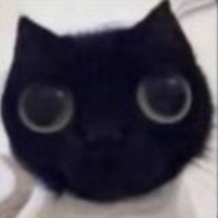 The hand - cover (original from Annabelle Dinda)