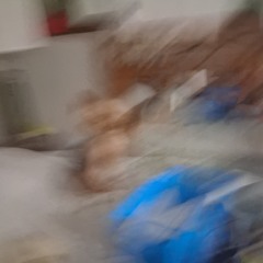 j)pfli