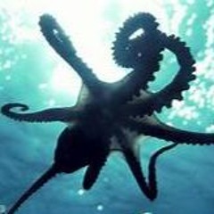 SaltWater Alpha Radio