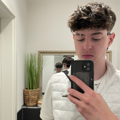 Camel64