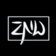 ZNW Records