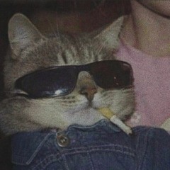 DoomerCat