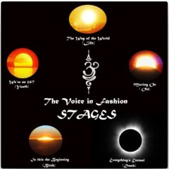 The Voice In Fashion