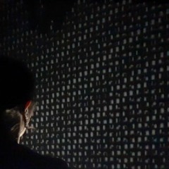 Camila Agudelo Mejía