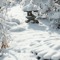SNOW PORDS