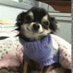 ★☆afraid i cant do that, Jake!☆ ★